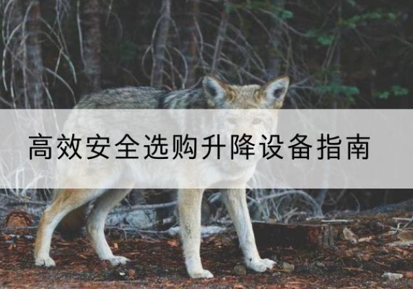 黄平升降货梯厂家推荐-*安全选购升降设备指南