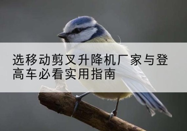 黄平电动升降机厂家-选移动剪叉升降机厂家与登高车必看实用指南